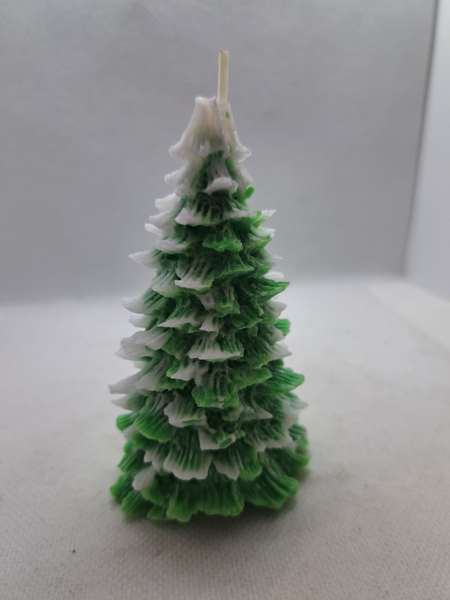 Candela Albero