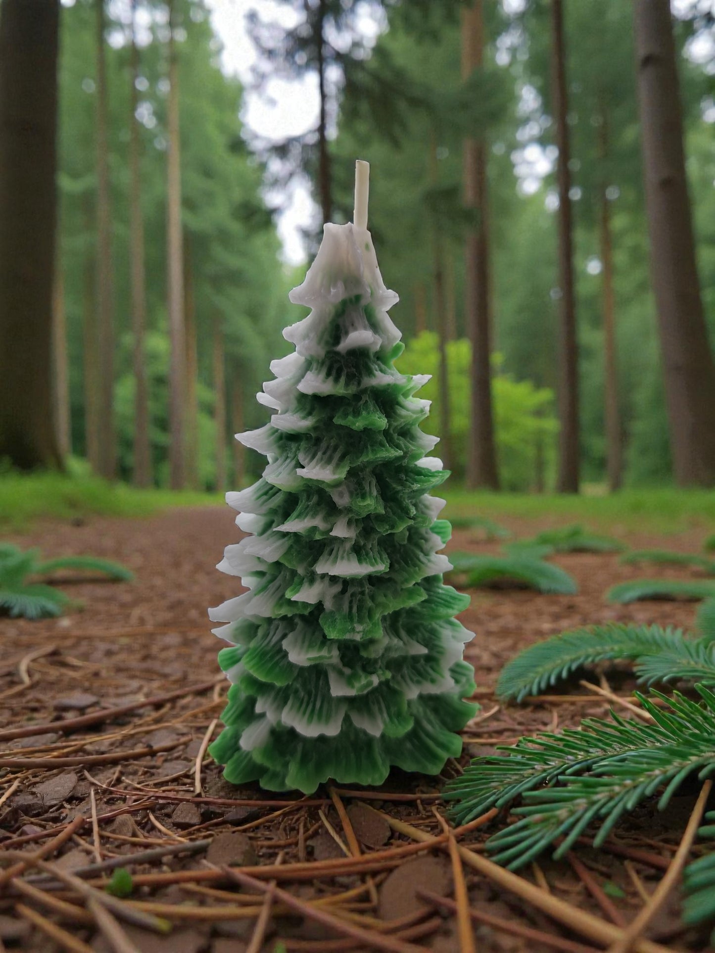 Candela Albero