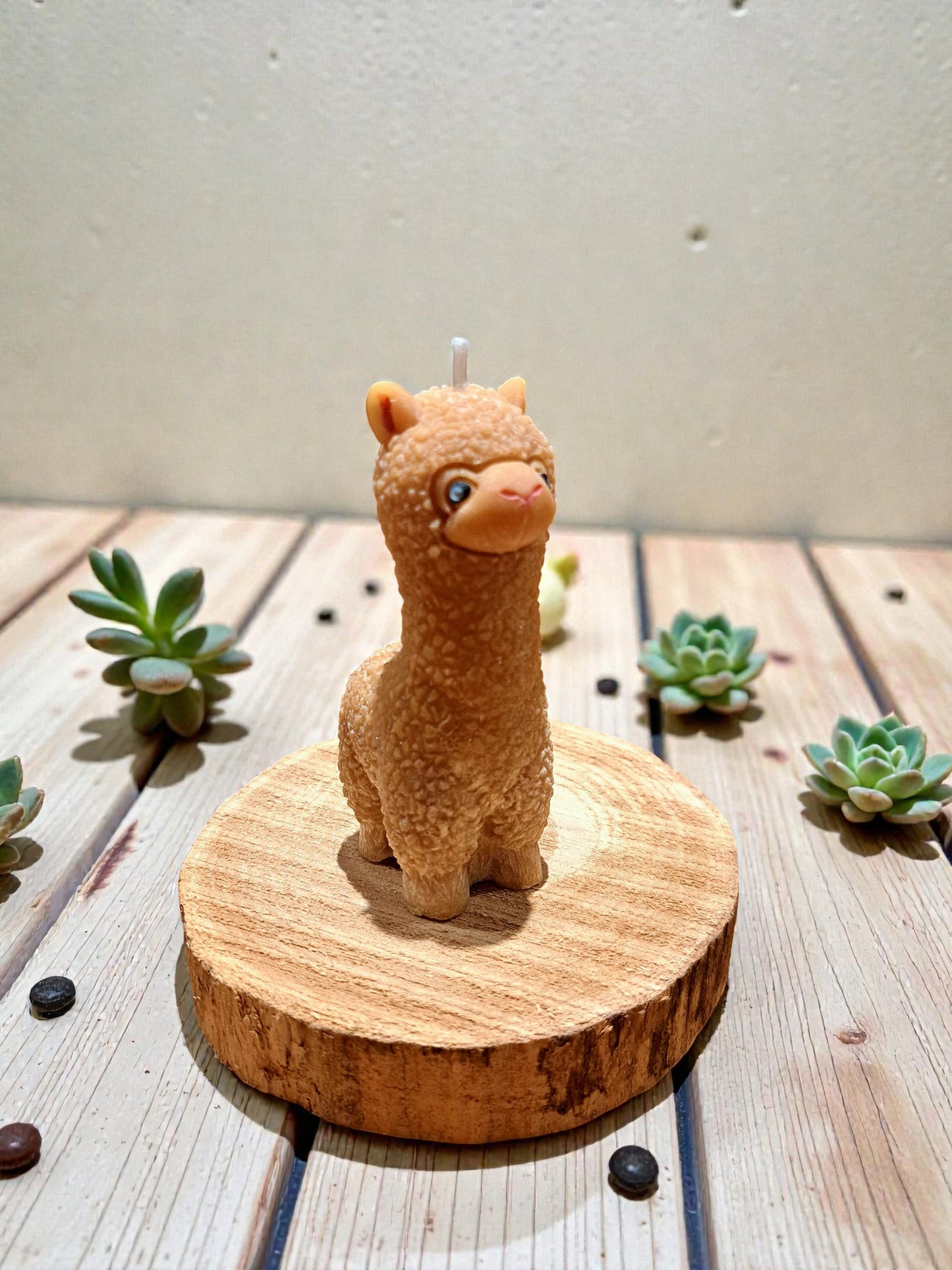 Candela Lama