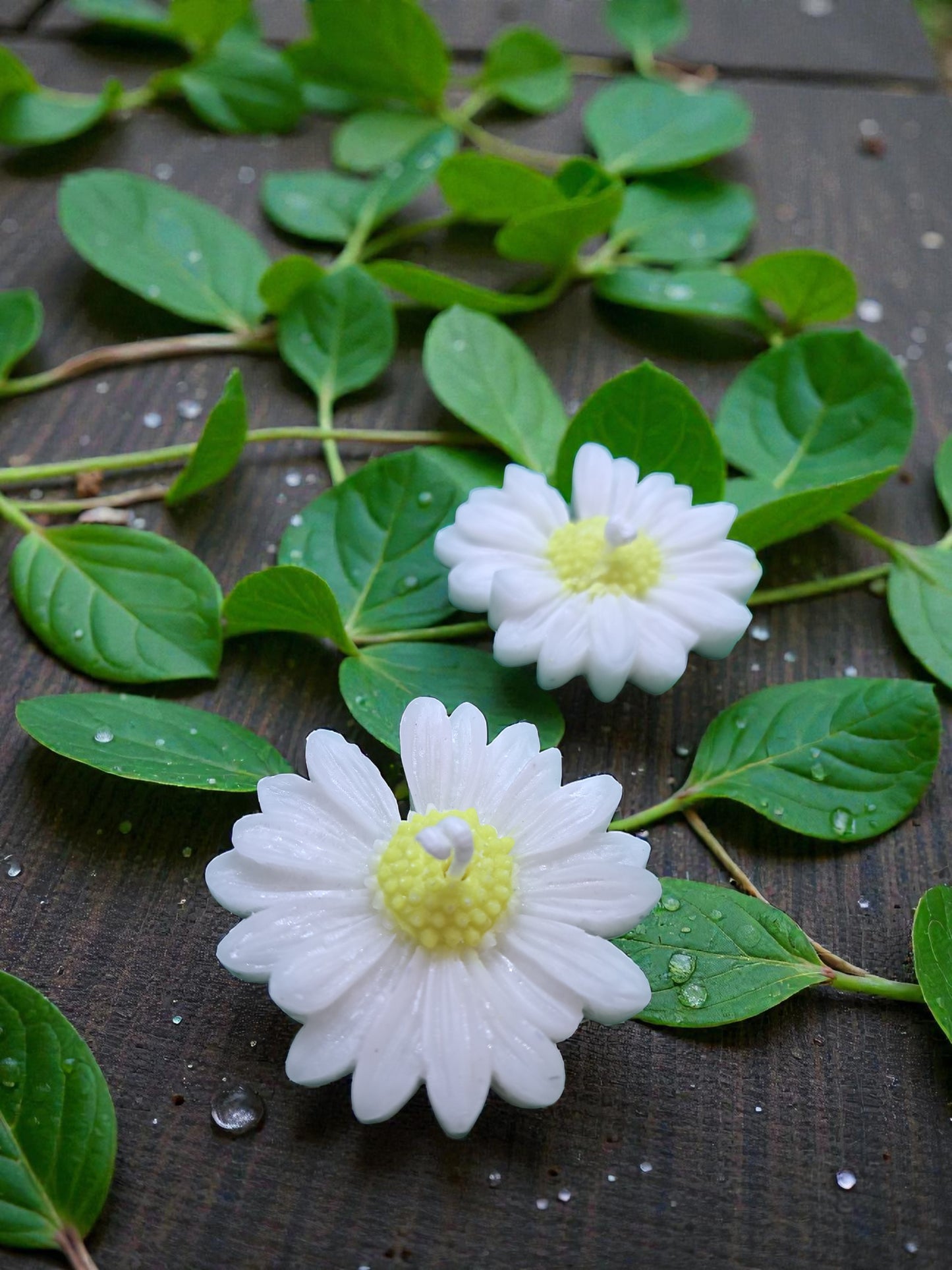 Candelina Margherita profumata